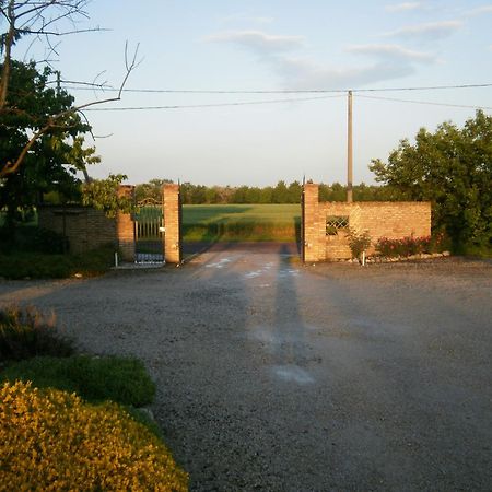 Agriturismo La Cascinetta 피에베디첸토 외부 사진