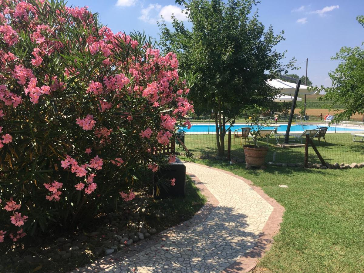 Agriturismo La Cascinetta 피에베디첸토 외부 사진